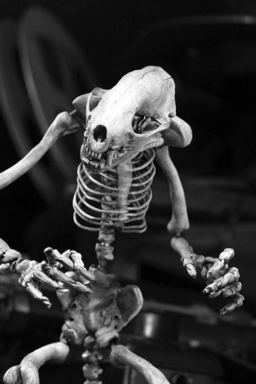 Odokuro (2011) poster