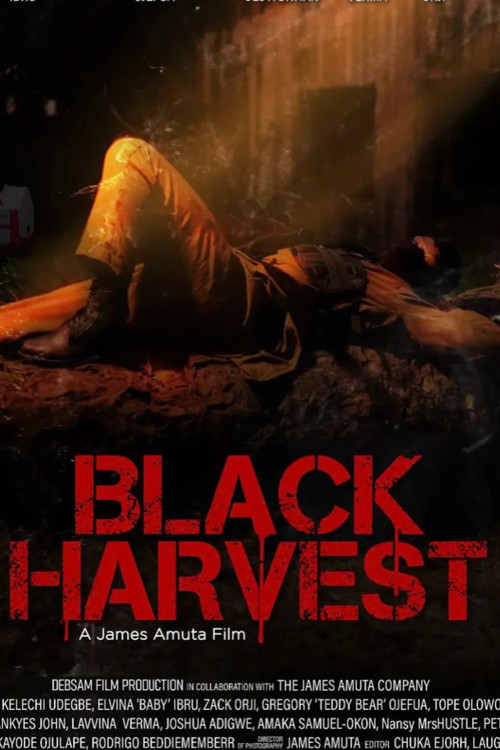 Black Harvest (2023) poster