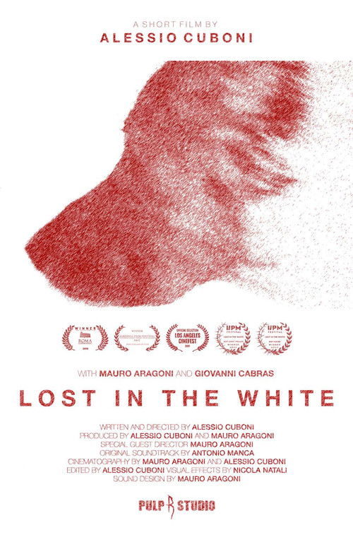 Lost in the White (2017) poster