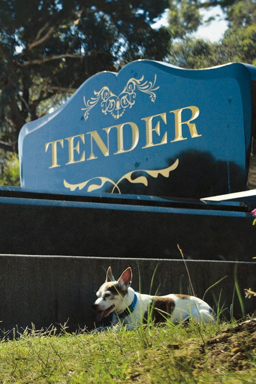 Tender (2014) poster