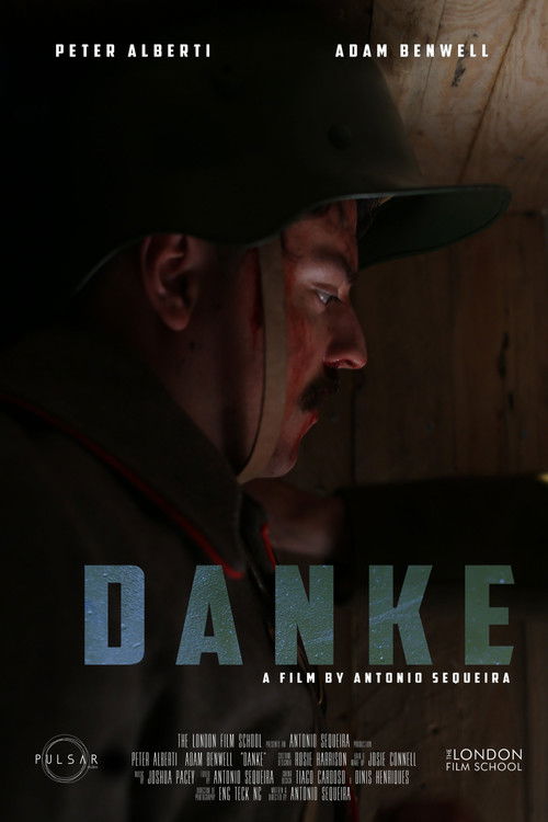 Danke (2017) poster
