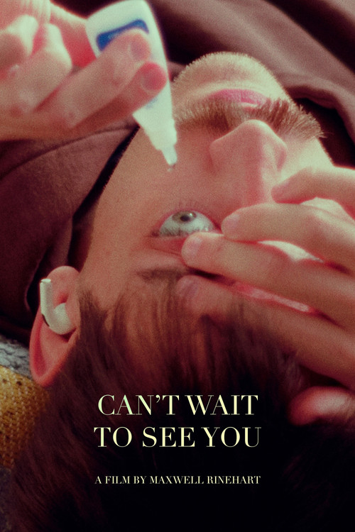 Can’t Wait to See You (2023) poster