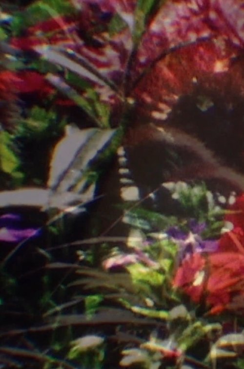 Return to Nature! The True Natural Method of Healing and Living and the True Salvation of the Soul: Paradise Regained—The Core of the Body—Water, Human Curative Power, Light, Air, Earth, Food, Fruit Culture (2012) poster