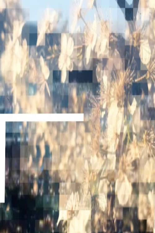 chamomile lips part four (2025) poster