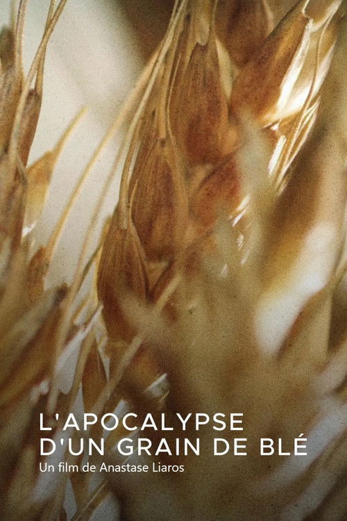 L'apocalypse d'un grain de blé (2021) poster