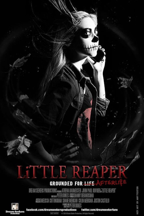 Little Reaper (2013) poster