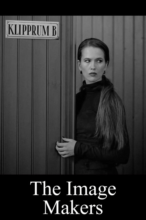 Bildmakarna (2000) poster