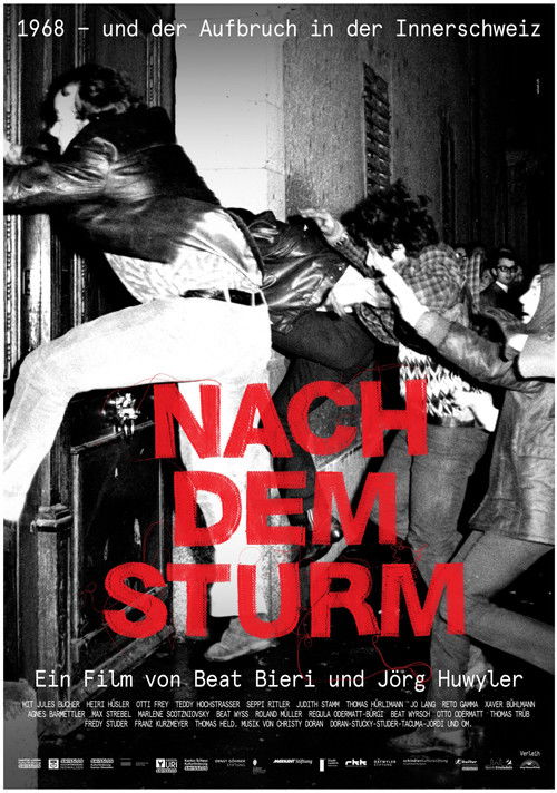 Nach dem Sturm (2019) poster