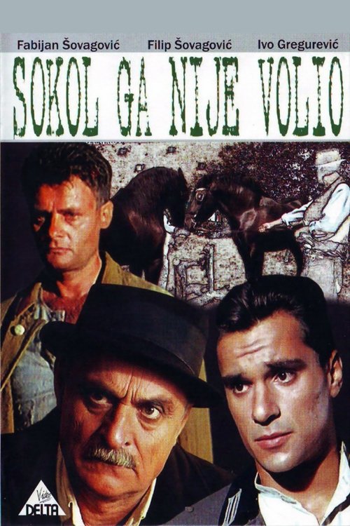 Sokol Did Not Love Him (1988) poster