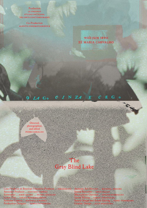 O lago cinza e cego (2026) poster