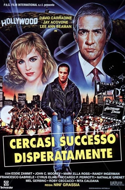 Desperately Looking For Success (1994) poster