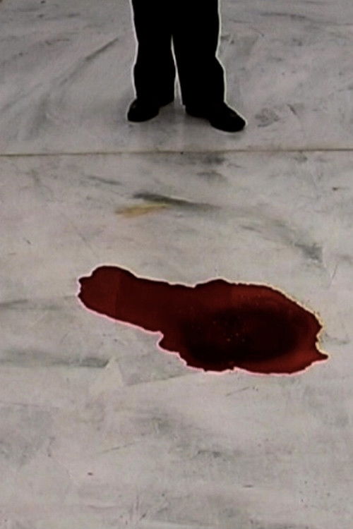 TRAGEDIA ENDOGONIDIA - BR.#04 BRUSSELS (2003) poster