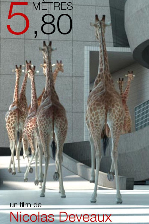 5,80 mètres (2012) poster