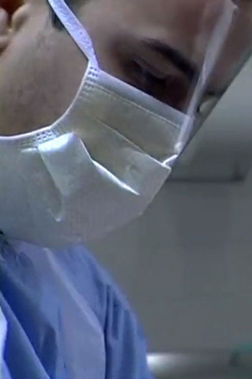 Minotaure Mein Führer (2008) poster