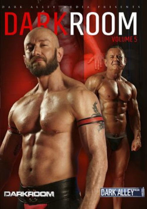 DarkRoom 5 (2013) poster