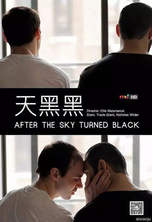 After the Sky Turned Black (2012) poster
