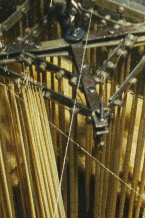 Spaghetti Tornado (2010) poster