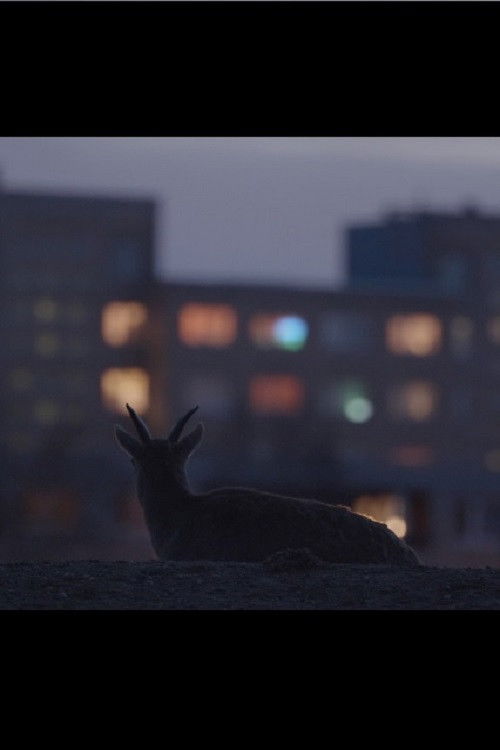 Hiatus (2020) poster