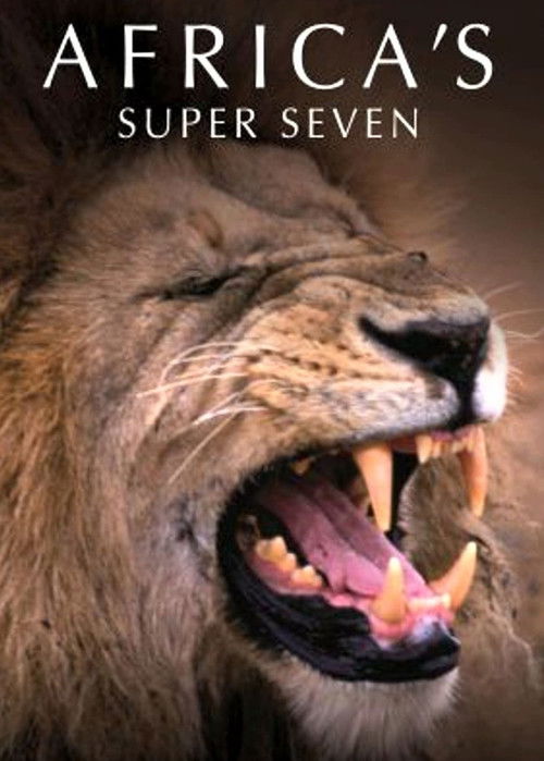 Africa's Super Seven (2005) poster