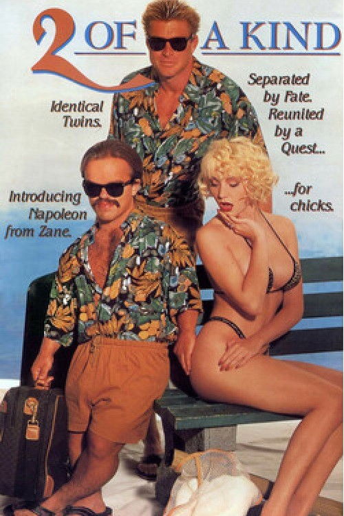 2 of a Kind (1991) poster