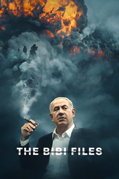 Bibi Tutanakları (2024) poster