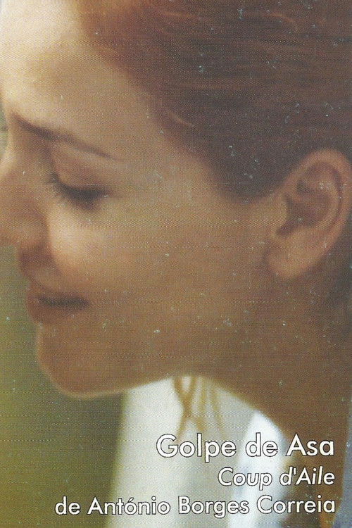 Golpe de Asa (1999) poster