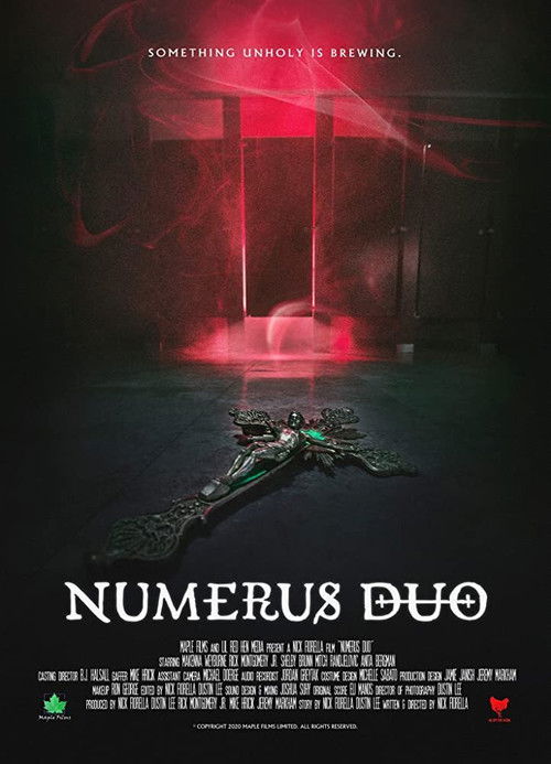 Numerus Duo (2021) poster