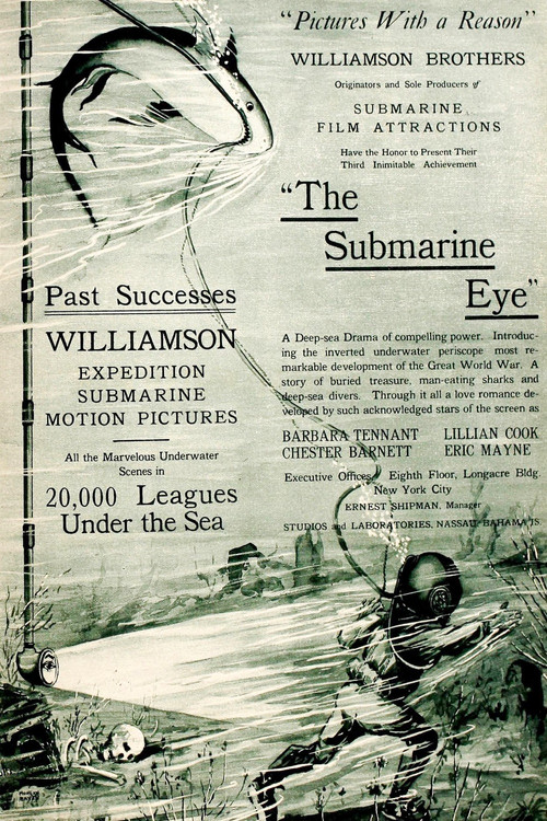 The Submarine Eye (1917) poster