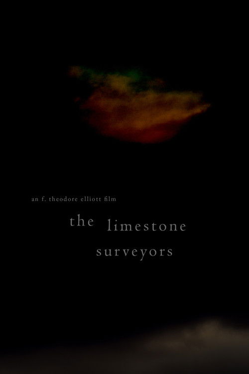 The Limestone Surveyors (2023) poster