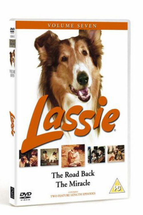 Lassie - The Road Back (1970) poster