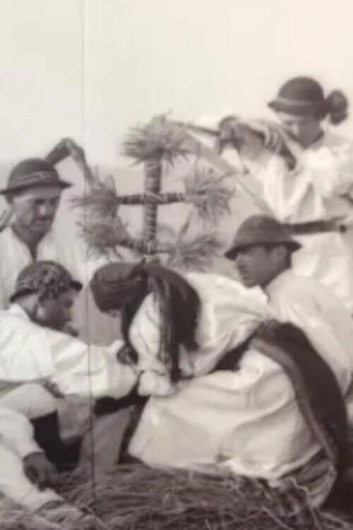 De vorbă cu frații mei plugari (1946) poster