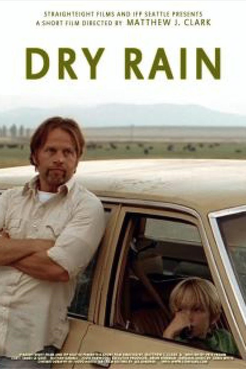 Dry Rain (2008) poster