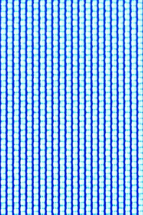 nothing hurts, and you won’t be (2020) poster