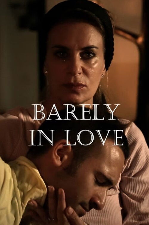 Barely in Love (2013) poster