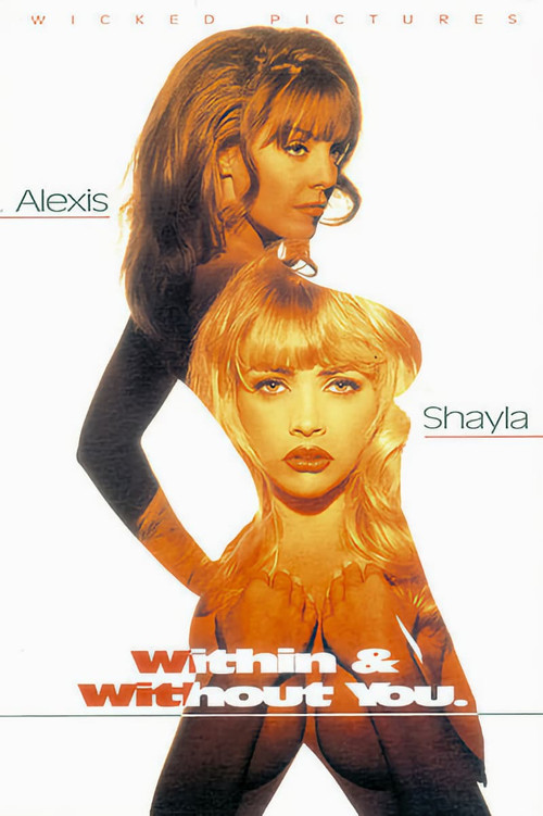 Within & Without You (1993) poster