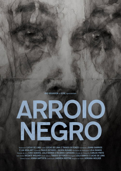 Arroio Negro poster
