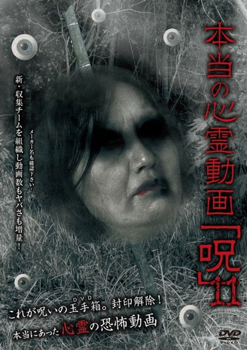 Hontō no Shinrei Dōga 'Noroi' 11 (2014) poster