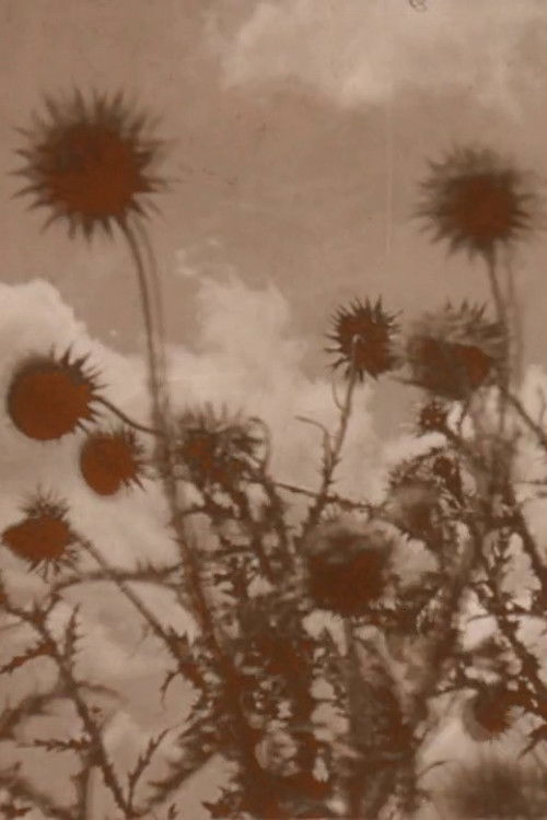 Crashing Skies (2012) poster