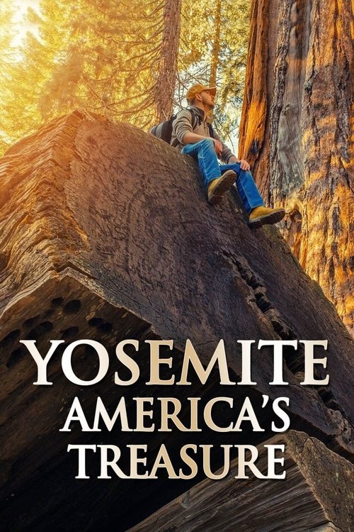 Yosemite: America's Treasure (2020) poster