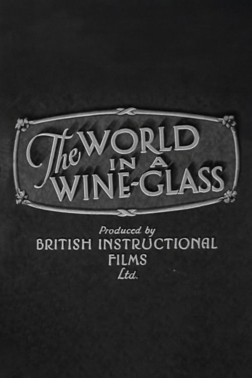 The World in a Wine-Glass (1931) poster