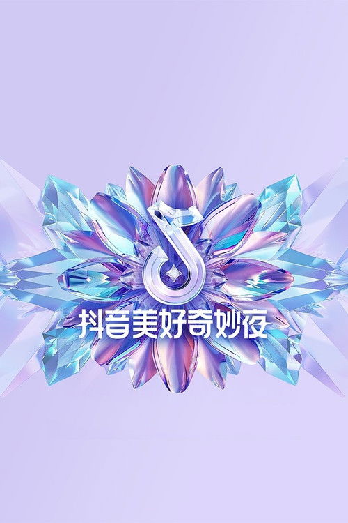 2024抖音美好奇妙夜 (2024) poster