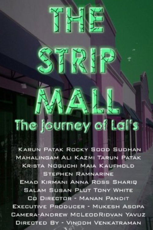 The Strip Mall (2010) poster