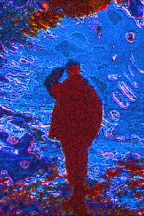 Brownsnow (1994) poster