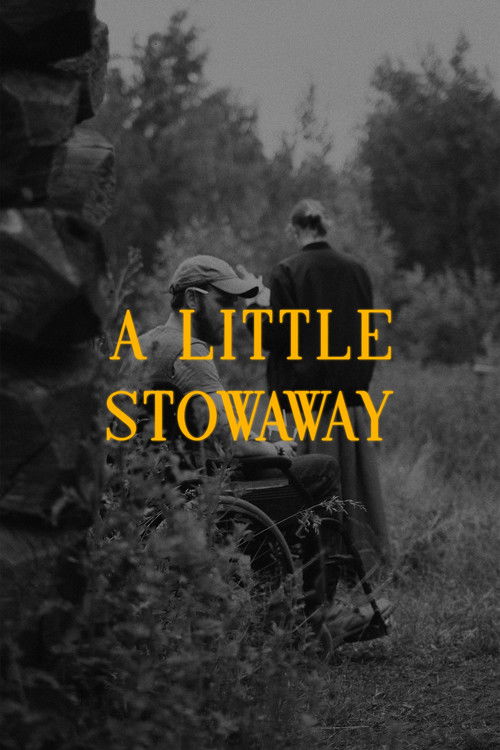 A Little Stowaway (2022) poster