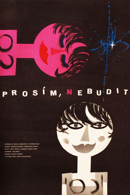 Prosím, nebudit (1963) poster