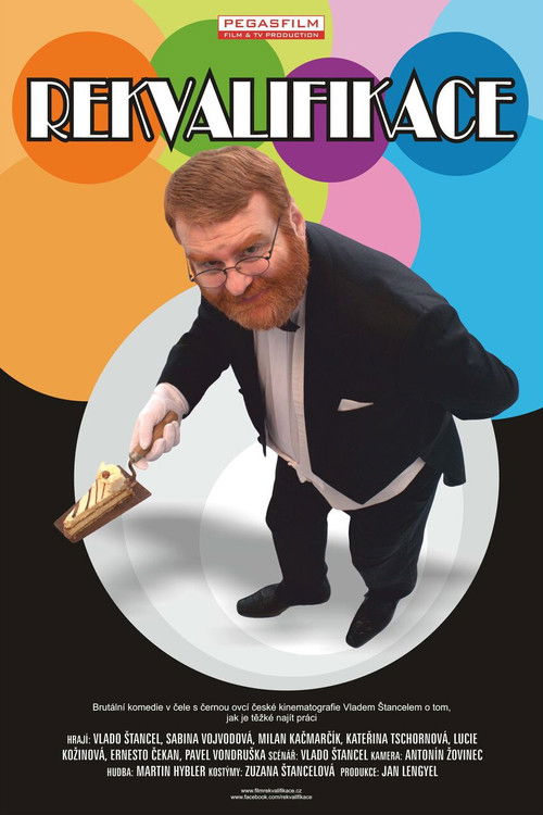 Rekvalifikace (2011) poster