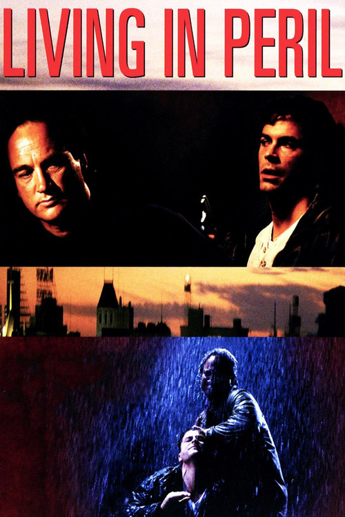 Tehlikede Yaşamak (1997) poster