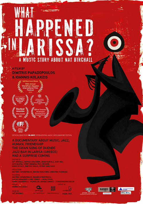 What Happened in Larisa? A Music Story About Nat Birchall (2021) poster