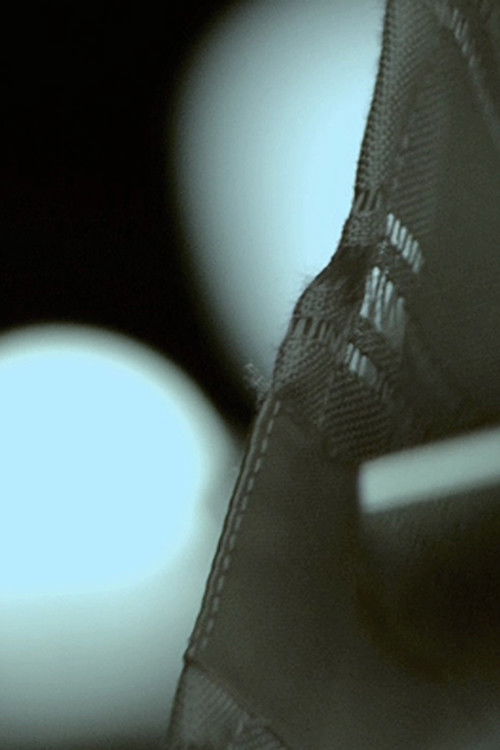 * 31 12 99 (2016) poster