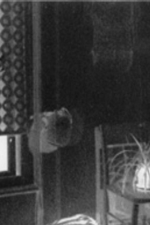 Pan Film (1972) poster